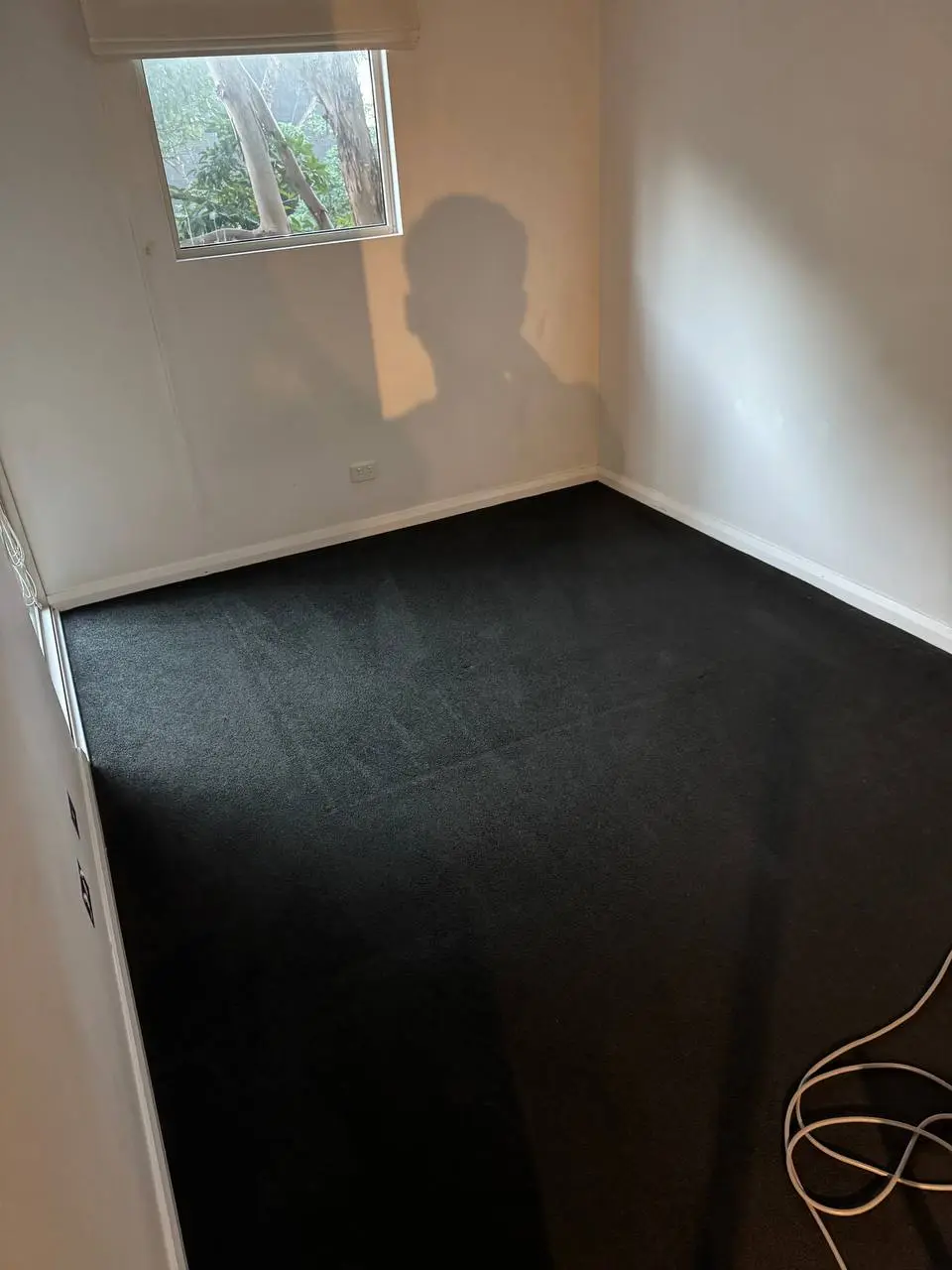 Freshly steam cleaned carpet with no stains after bond clean — after