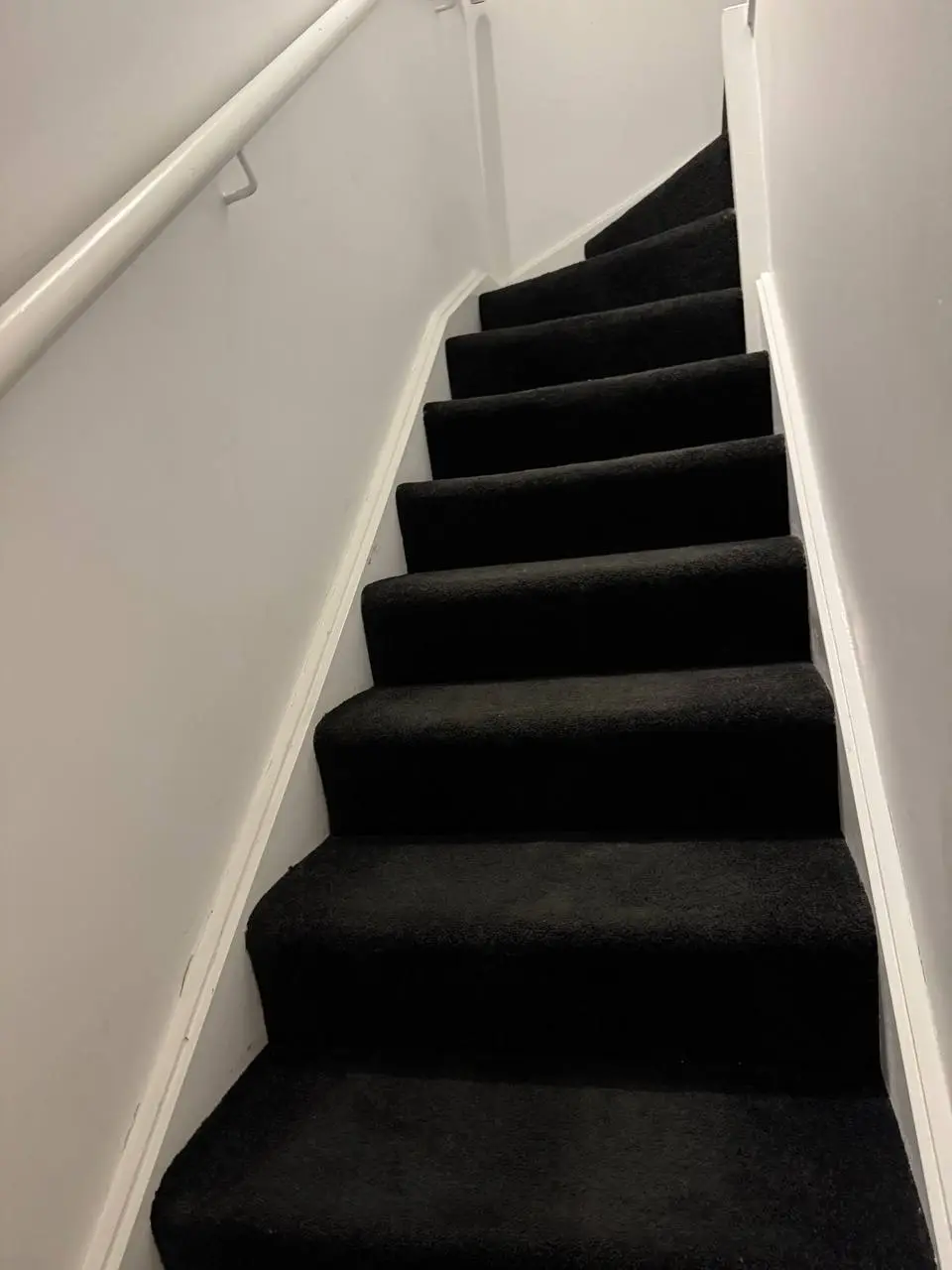 Freshly steam cleaned carpeted staircase after bond clean — after