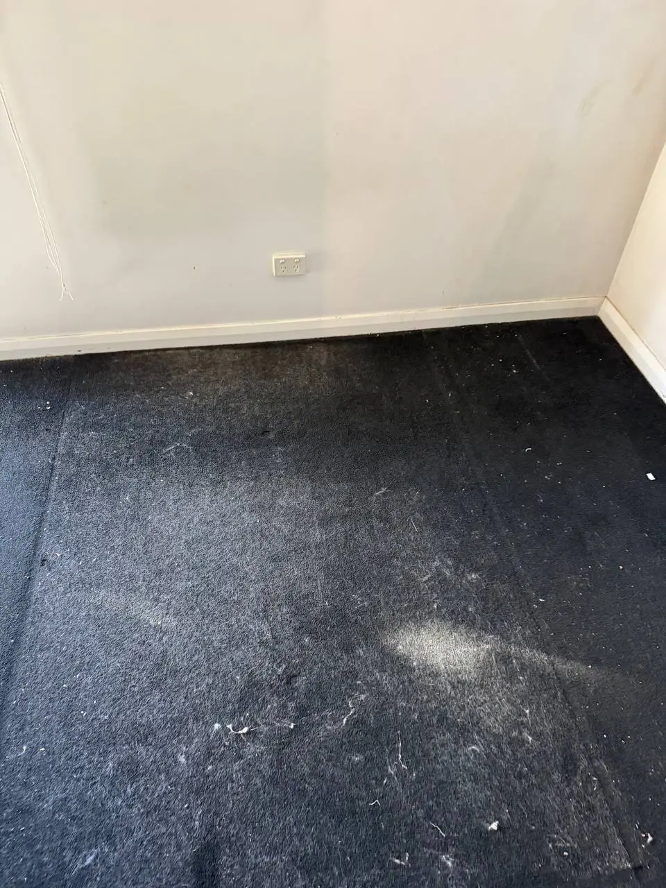 Dirty stained carpet with dust and debris before steam cleaning — before