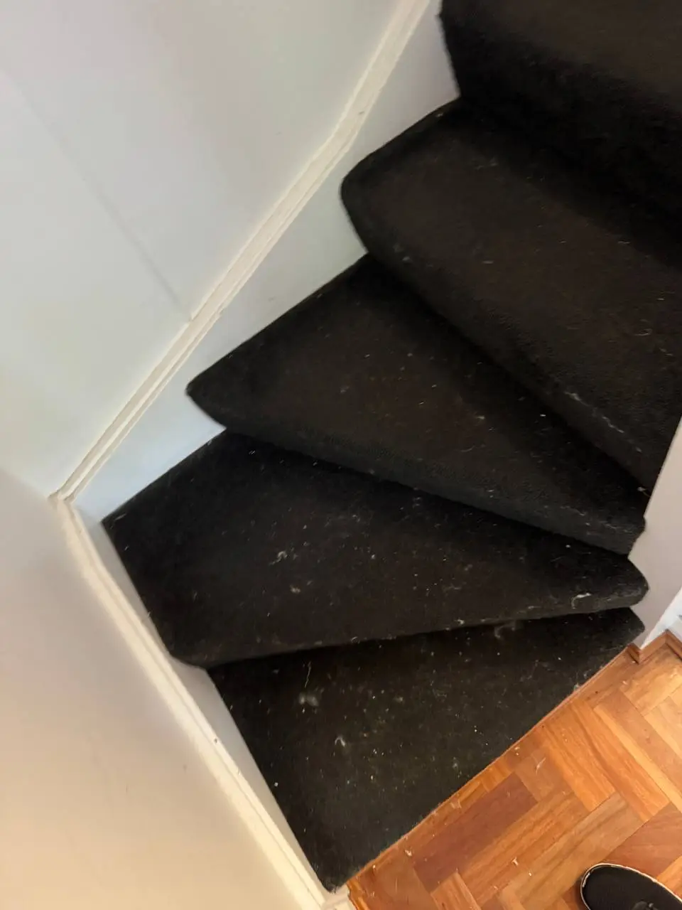 Dusty carpeted staircase with lint and debris before steam cleaning — before
